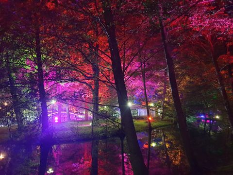 Der Lichtensteiner Stadtpark leuchtet zum Licht- & Lampionfest am 01.10.2022