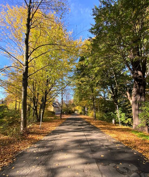 Schlossallee zum Kultur.Palais.Lichtenstein