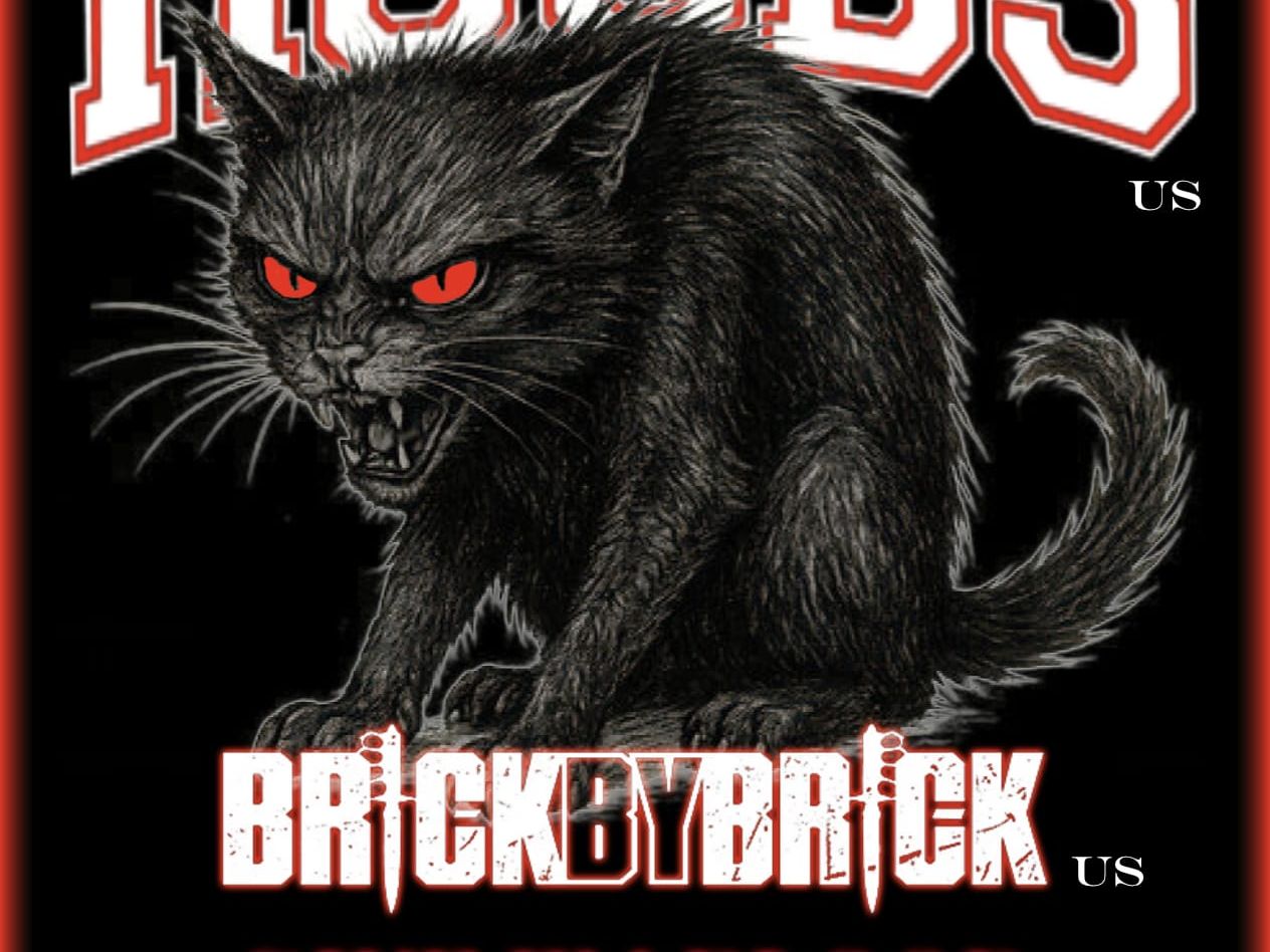 Veranstaltungsdaten, Bandnamen und eine fauchende schwarze Katze